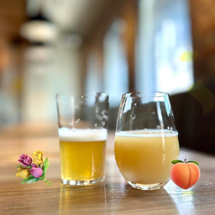 早稲田のカンパイ！ブルーイングで作られた「さいかち坂 Peach Hazy